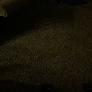 Meet your Posher, Katrina